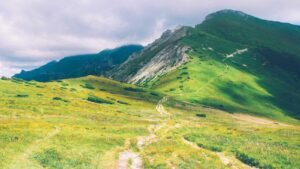 Blockchain Investigator ZachXBT Accuses Axiom Employee of Insider Trading