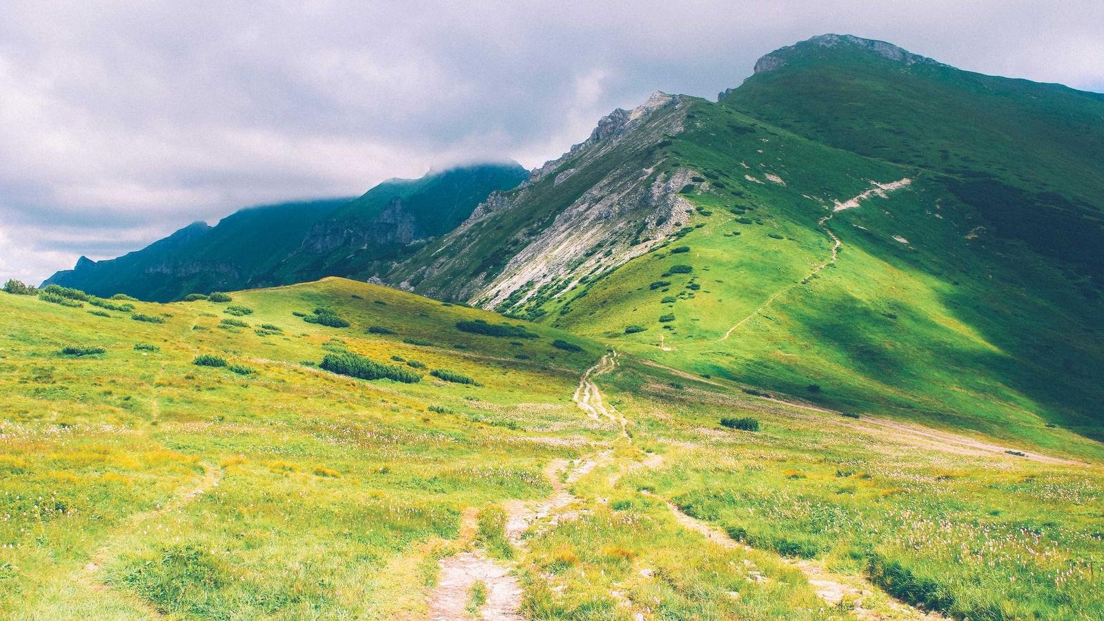 Blockchain Investigator ZachXBT Accuses Axiom Employee of Insider Trading