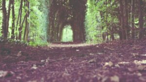 Bitcoin Plummets on Decentralized Exchange Amidst Broader Market Surge