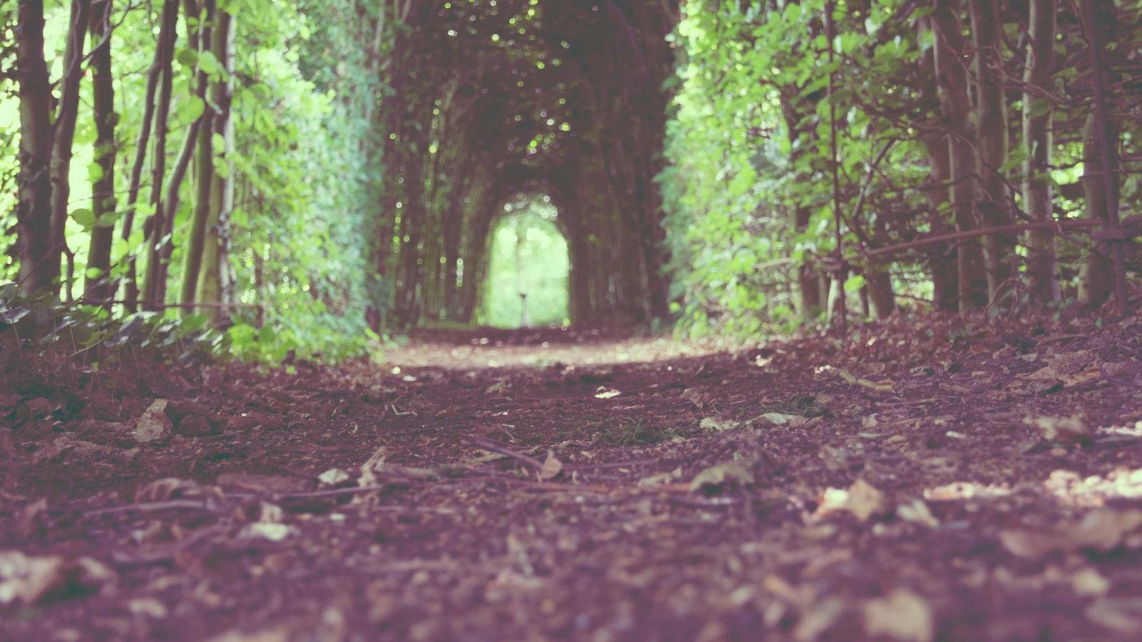 Bitcoin Plummets on Decentralized Exchange Amidst Broader Market Surge