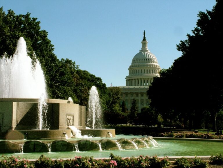 The Urgency of Cryptocurrency Market Regulation: A Call to Action for U.S. Legislators