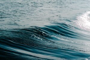 El Salvador Stands Firm on Bitcoin Strategy Despite Market Woes