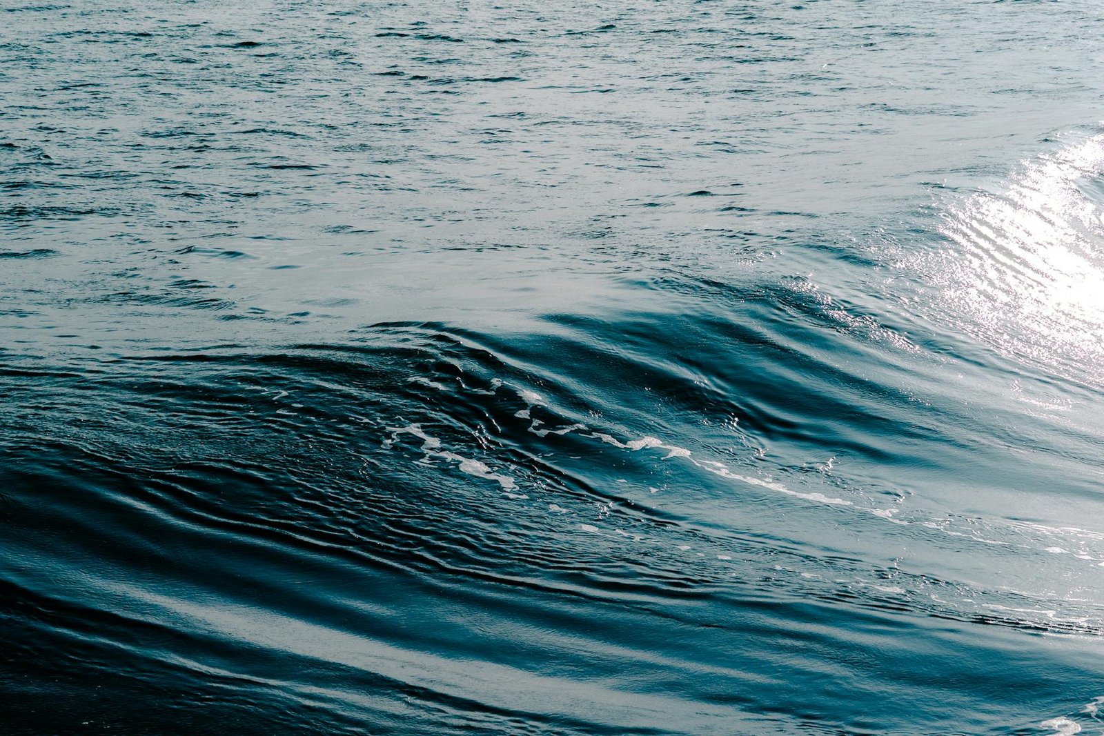 El Salvador Stands Firm on Bitcoin Strategy Despite Market Woes