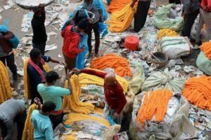 Opensea Delays SEA Token Launch, Offers Fee Refunds and Zero-Fee Trading to Retain User Trust