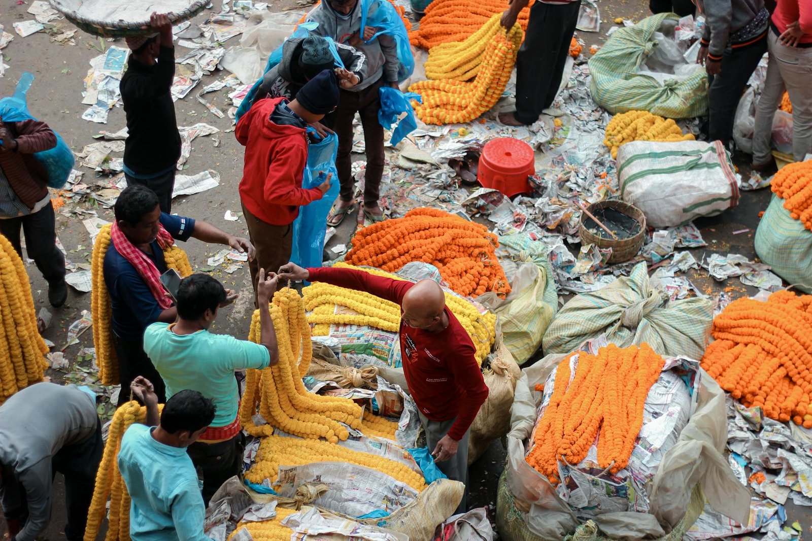 Opensea Delays SEA Token Launch, Offers Fee Refunds and Zero-Fee Trading to Retain User Trust