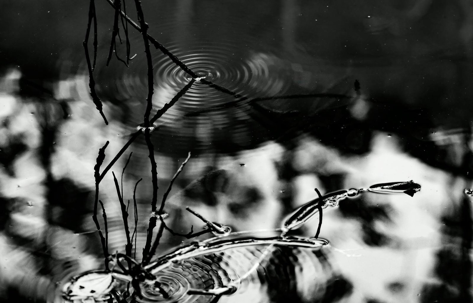 Ripple Expands Digital Asset Services in Brazil, Eyes Central Bank Approval