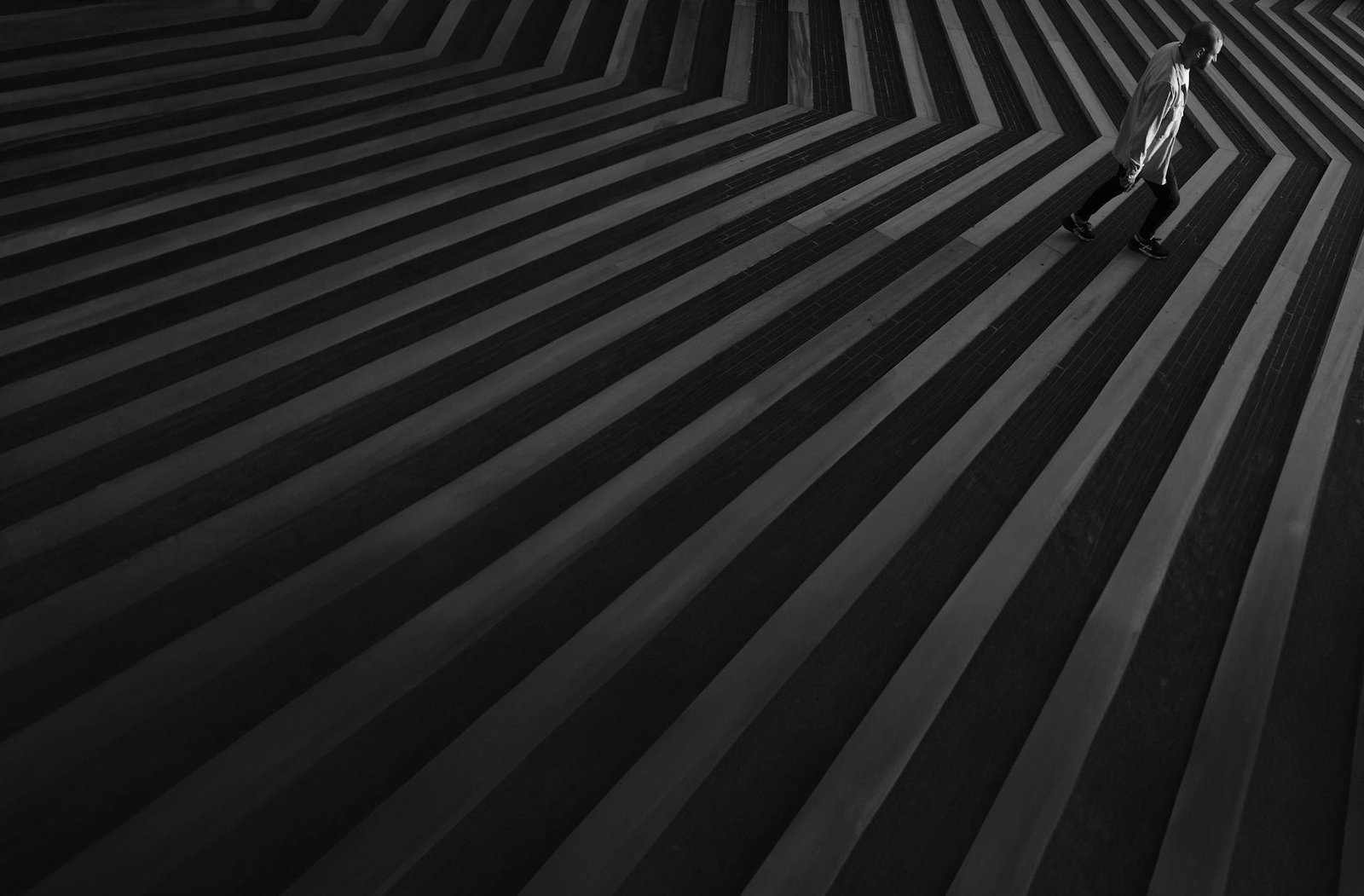 Bitcoin Defies Market Turmoil: A Beacon of Stability Amidst Chaos