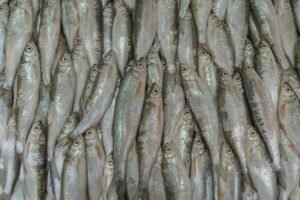 Geopolitical Tensions Elevate Inflation Risks, Signaling End of Cheap Money Era