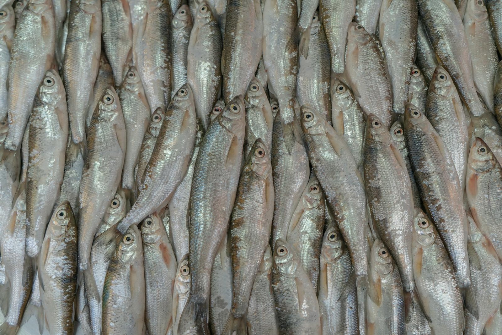 Geopolitical Tensions Elevate Inflation Risks, Signaling End of Cheap Money Era