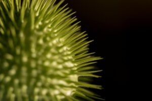 Binance OTC Spike Reveals Intensifying Institutional Grip on Crypto Liquidity