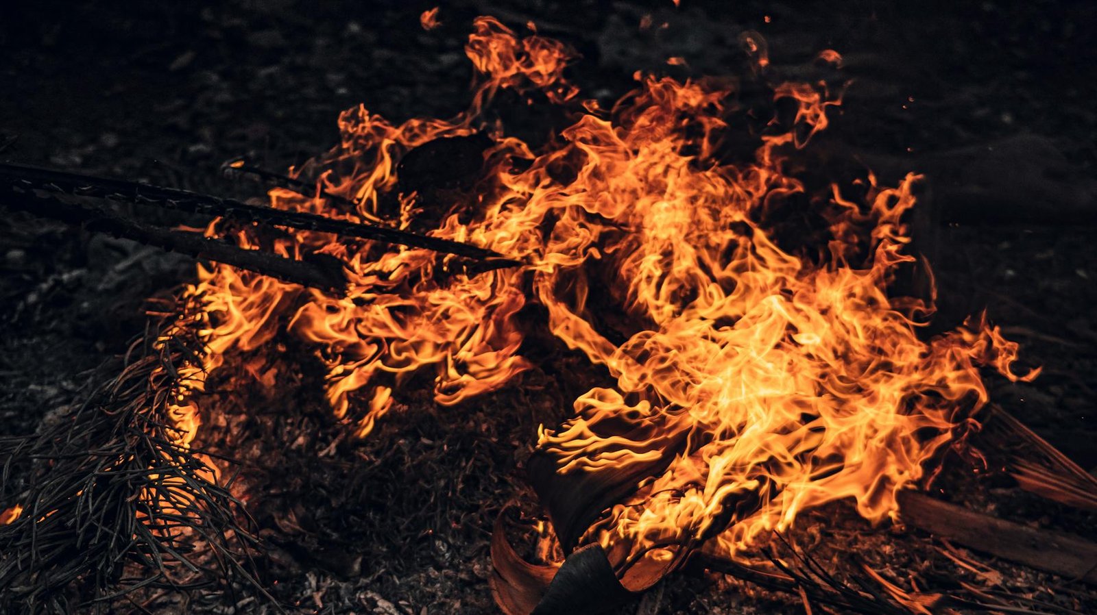 Firelight Hits 50 Million XRP Milestone as DeFi Protection Demand Surges
