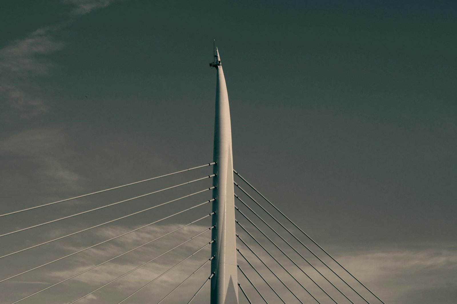 Cardano Makes Inroads in Swiss Retail: 137 Spar Stores Now Accept ADA