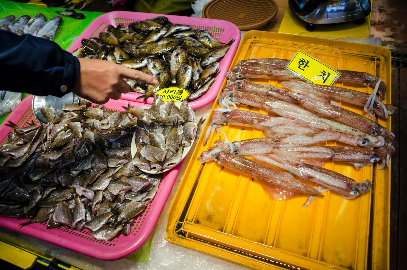 Korean Market Plunge: A Catalyst for Crypto's Resurgence?