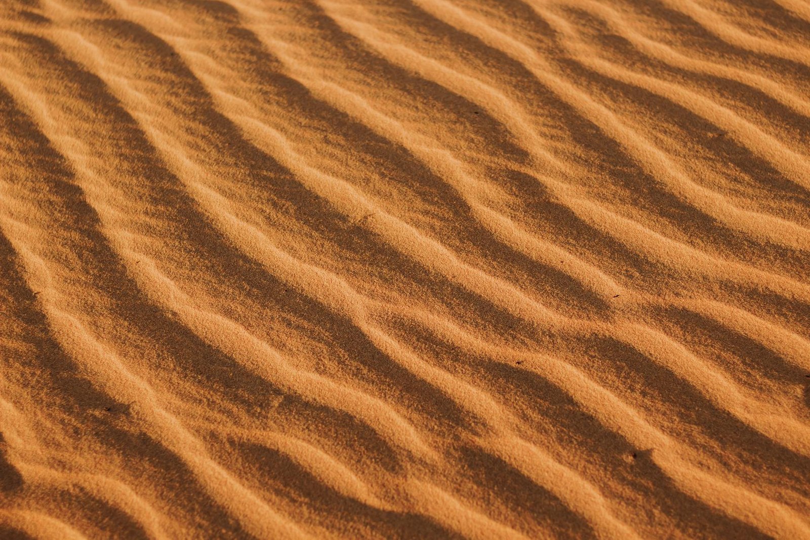 Ripple Expands Crypto Services in Brazil with Regulatory Nod in Sight