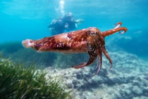Kraken calls for de minimus exemption on crypto taxes after 2025 reports