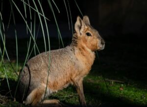 MARA Conducts Ongoing Layoffs Following $1.1B Bitcoin Sale and Debt Reduction Push