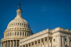 Senator Warren questions Commerce Secretary Lutnick on Tether loan to family