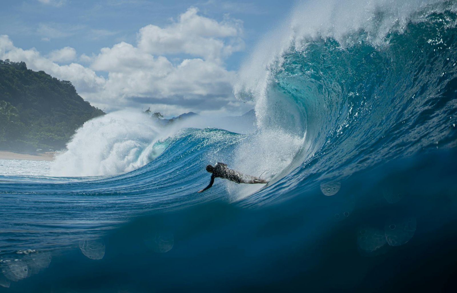 Ripple Prepares for Largest Swell Event Yet With Combined Apex Format