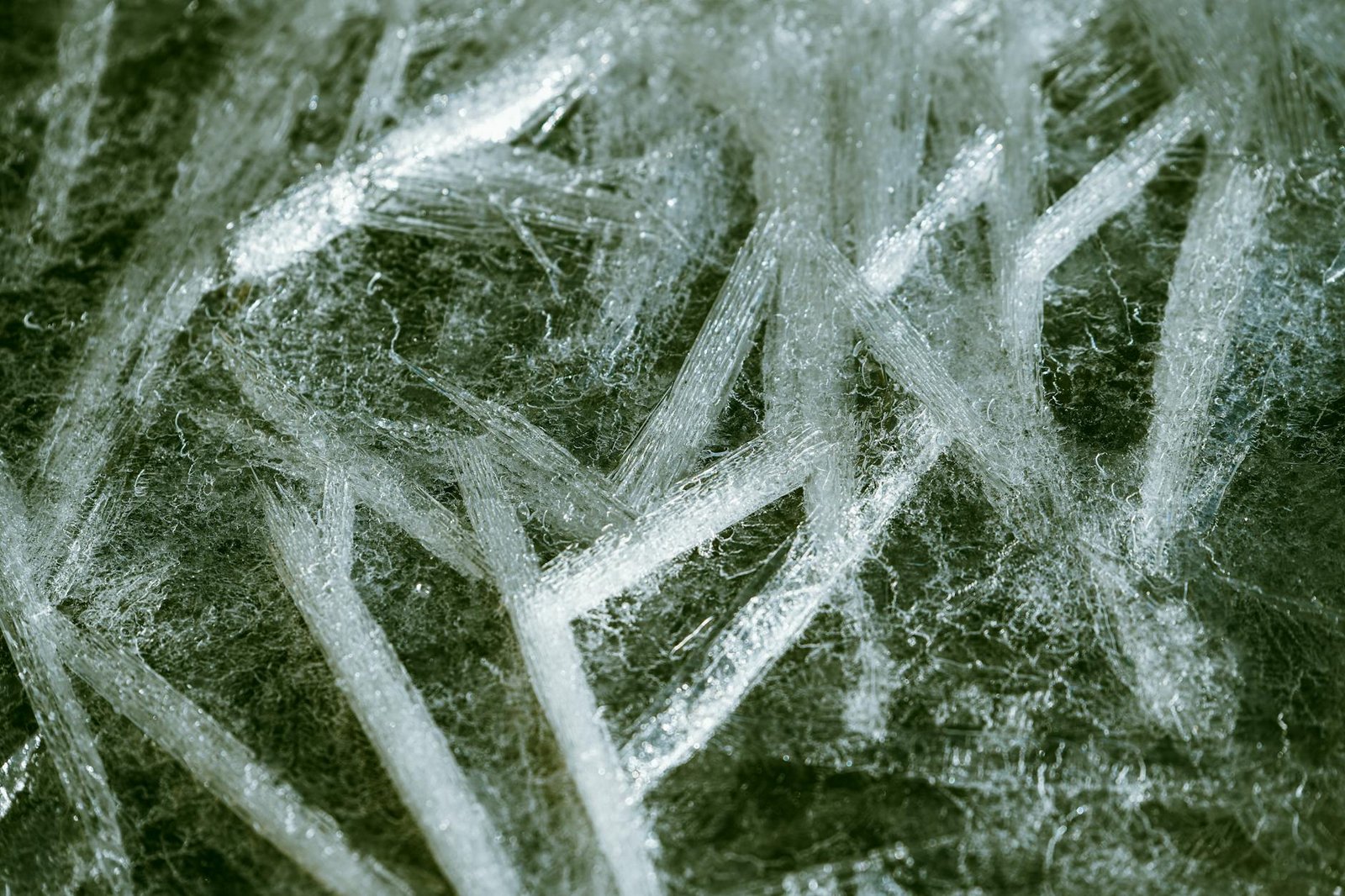 USDC Freeze Controversy: ZachXBT Says Circle Froze 16 Legitimate Wallets, Missed Real Hacks