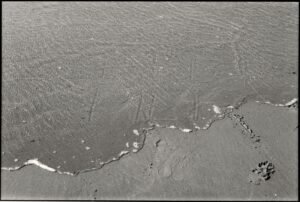 Ripple Marks Significant Step in Korea Through First Collaboration With a Leading Insurance Institution