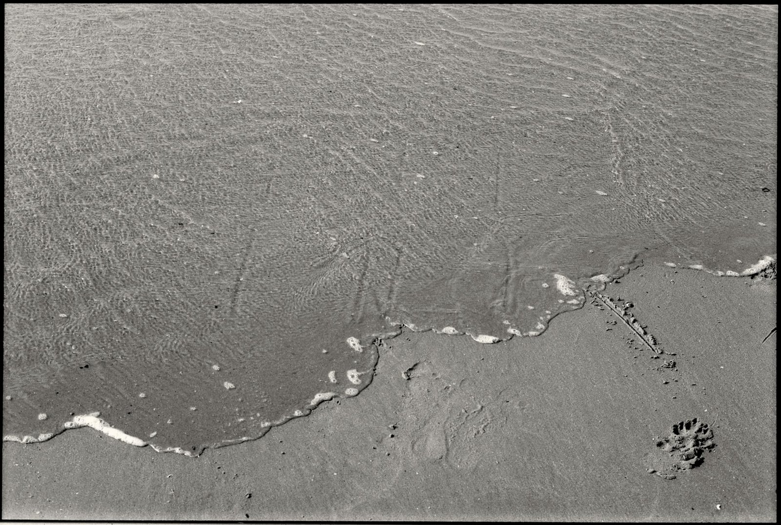 Ripple Marks Significant Step in Korea Through First Collaboration With a Leading Insurance Institution