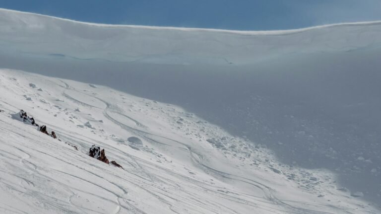 Avalanche Foundation Backs W3 as 200K Workflows Go Live, Accelerating AI Finance Shift