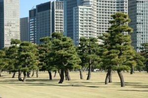 Almost 80% of Japan's institutional investors plan to buy crypto within 3 years, survey finds