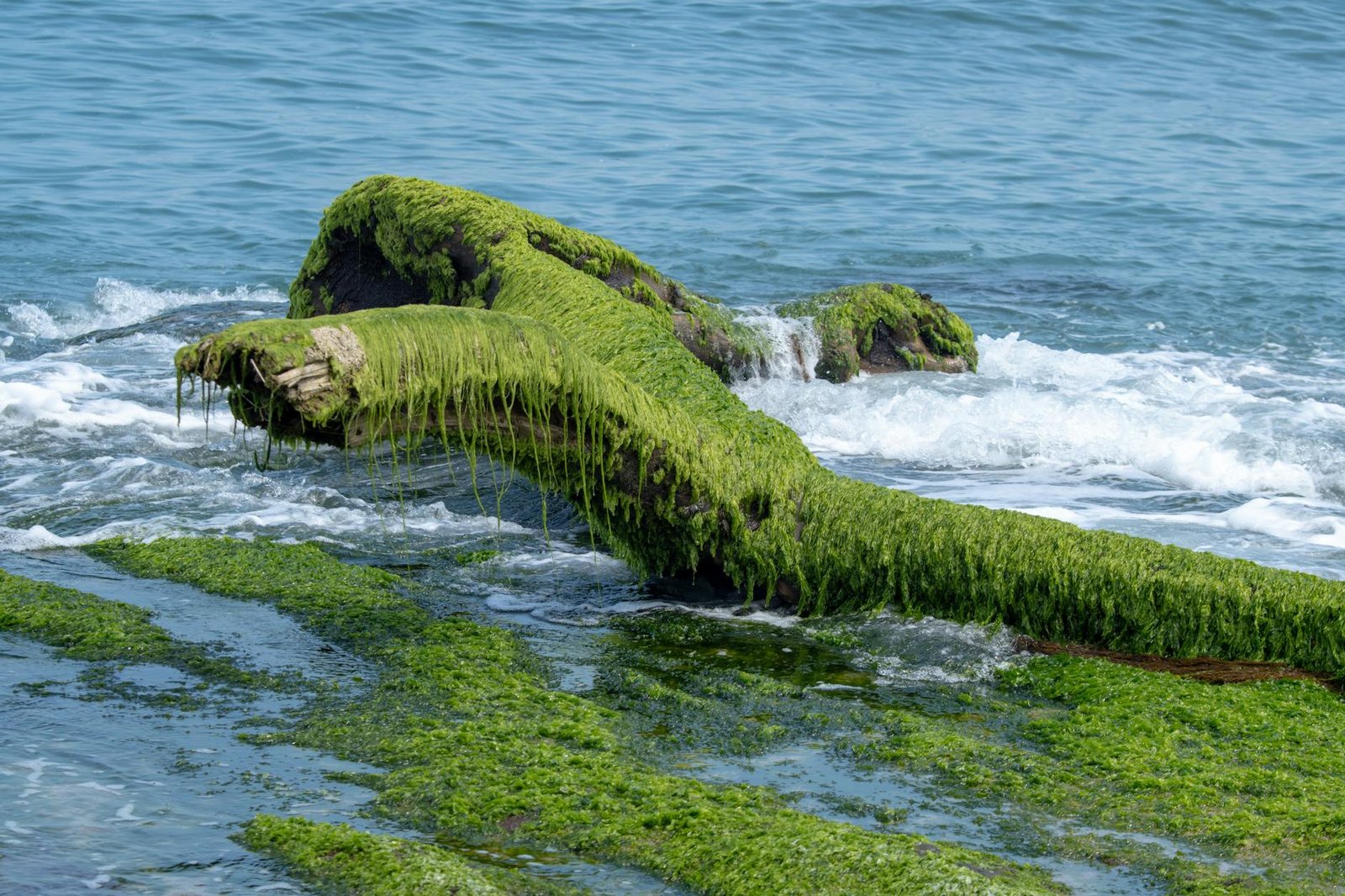 Kelp DAO claims LayerZero’s 'default' settings are what actually caused the massive $290 million disaster