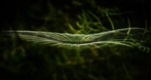 The Retroactive Decryption Trap: Why Post-Quantum Upgrades Can’t Save Your Past Privacy