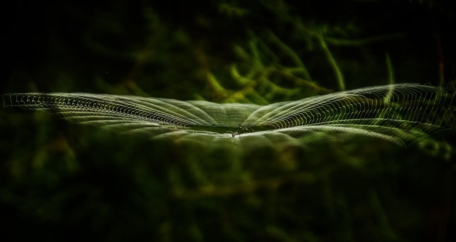 The Retroactive Decryption Trap: Why Post-Quantum Upgrades Can’t Save Your Past Privacy