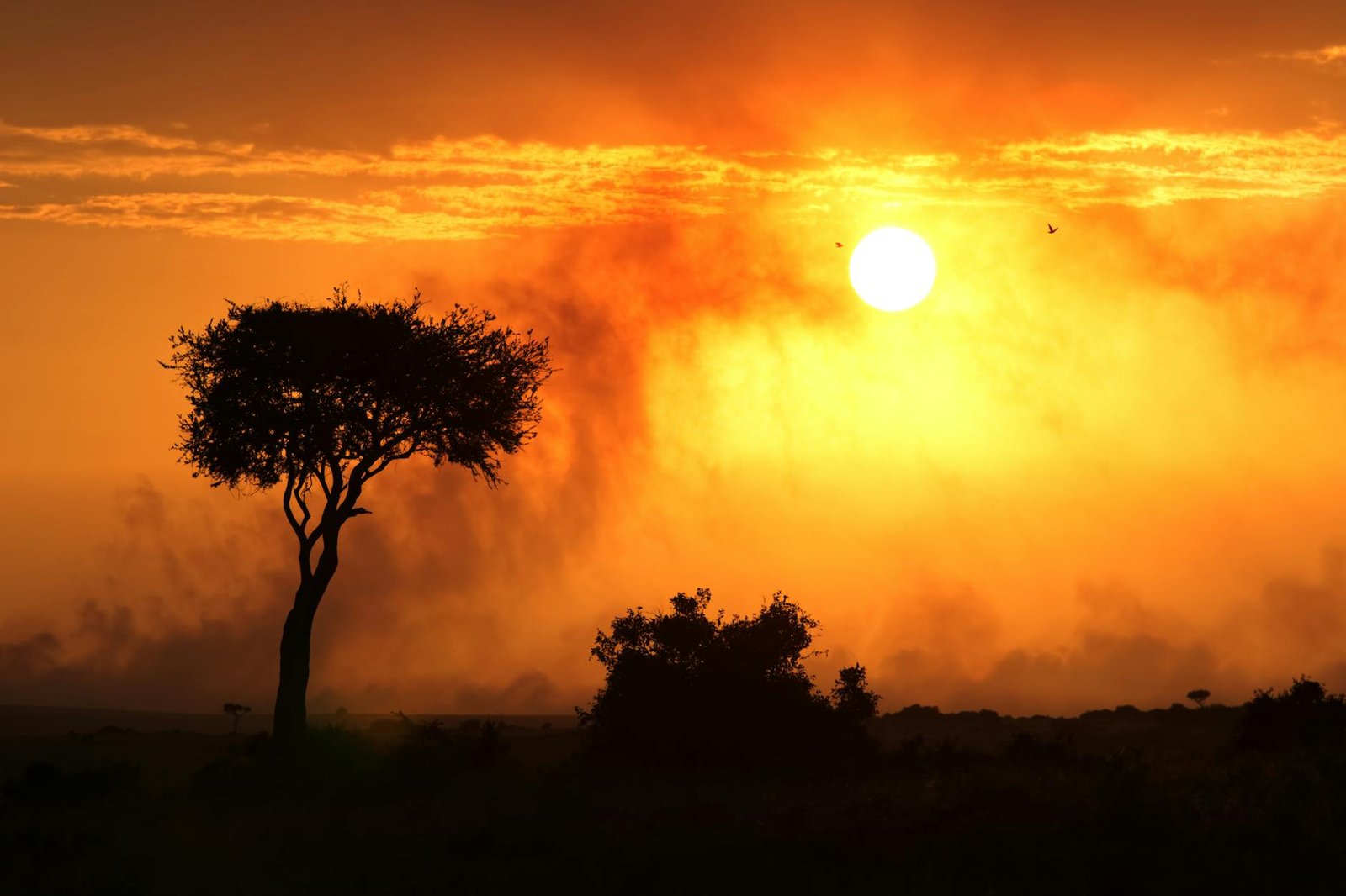 MARA Holdings to buy Long Ridge Energy in $1.5 billion AI data center push