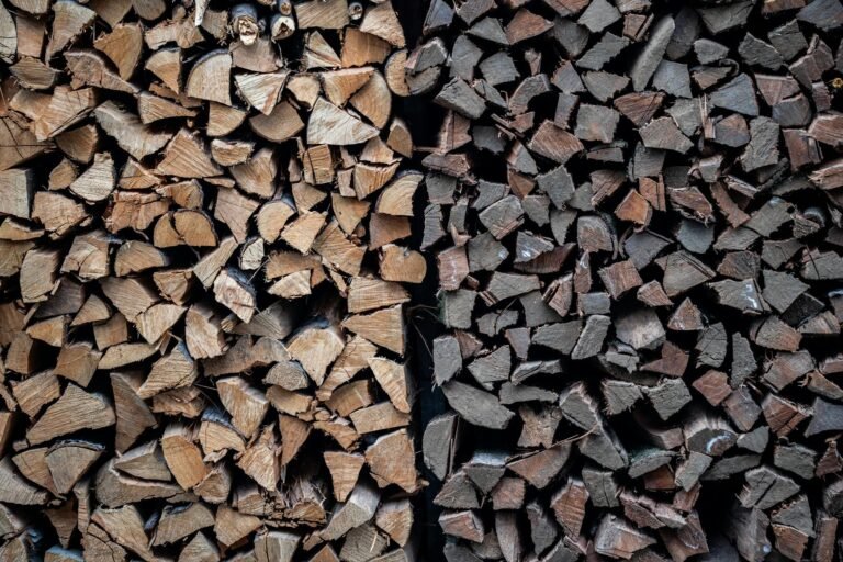 From Cathie Wood to Cantor Fitzgerald, the big money is betting that Robinhood’s crypto slump is just a temporary speed bump