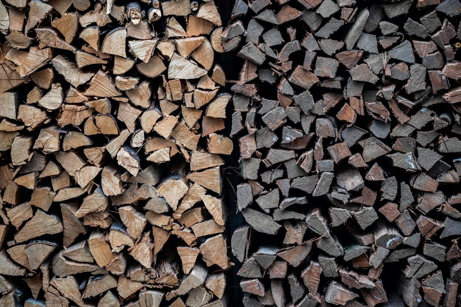 From Cathie Wood to Cantor Fitzgerald, the big money is betting that Robinhood’s crypto slump is just a temporary speed bump