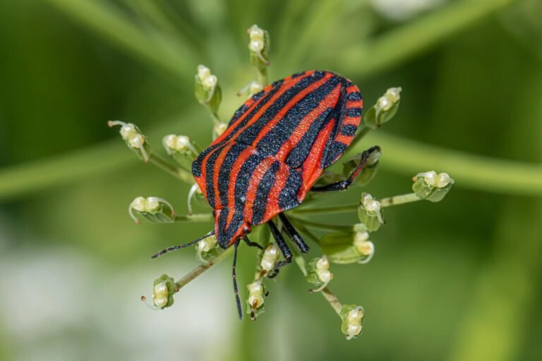 ZetaChain dismissed bug report that could have prevented $334K exploit