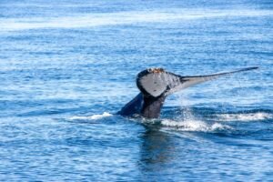 ETH Whale That Sold $24.9M Three Days Ago Buys Back $17.5M as Ether Stabilizes Above $2,350