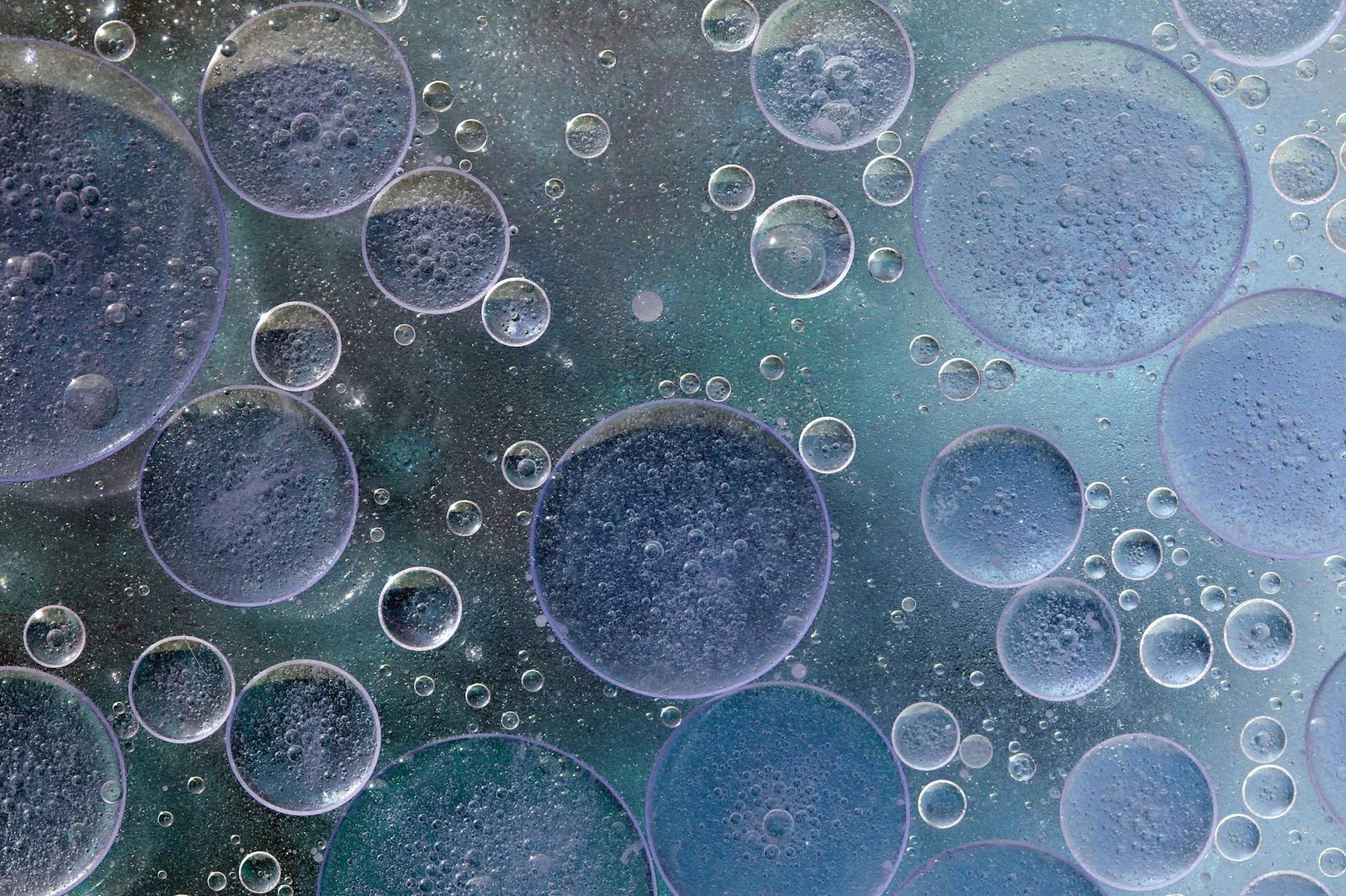 Bitgo Prime Expands Liquidity Network With New Regulated European Provider