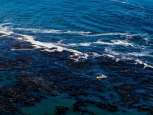 LayerZero says Kelp setup caused exploit, as Aave loss questions mount