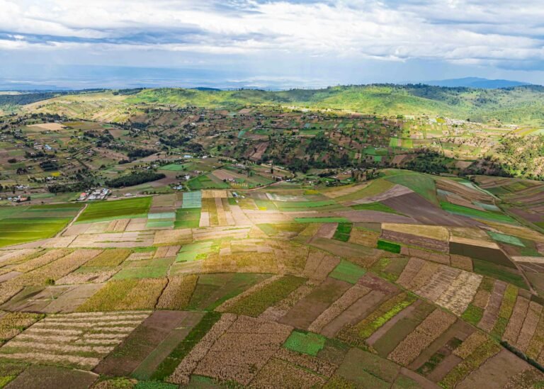 East Africa Leads Stablecoin FX Compression in Q1 2026, Borderless Benchmark Reports