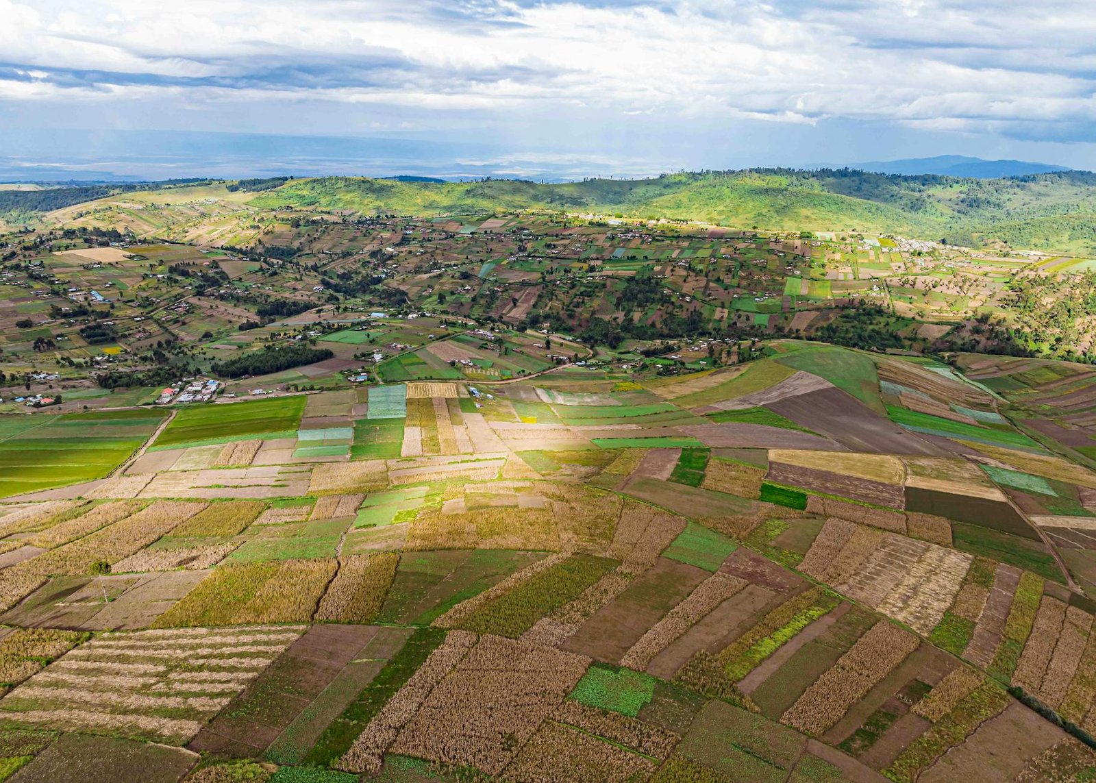 East Africa Leads Stablecoin FX Compression in Q1 2026, Borderless Benchmark Reports