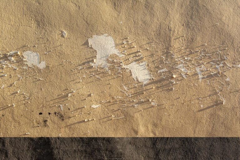 Adrian Wall of DSA Advances Stablecoin Policy Discussion at Blockchain and Fintech Conference at Harvard