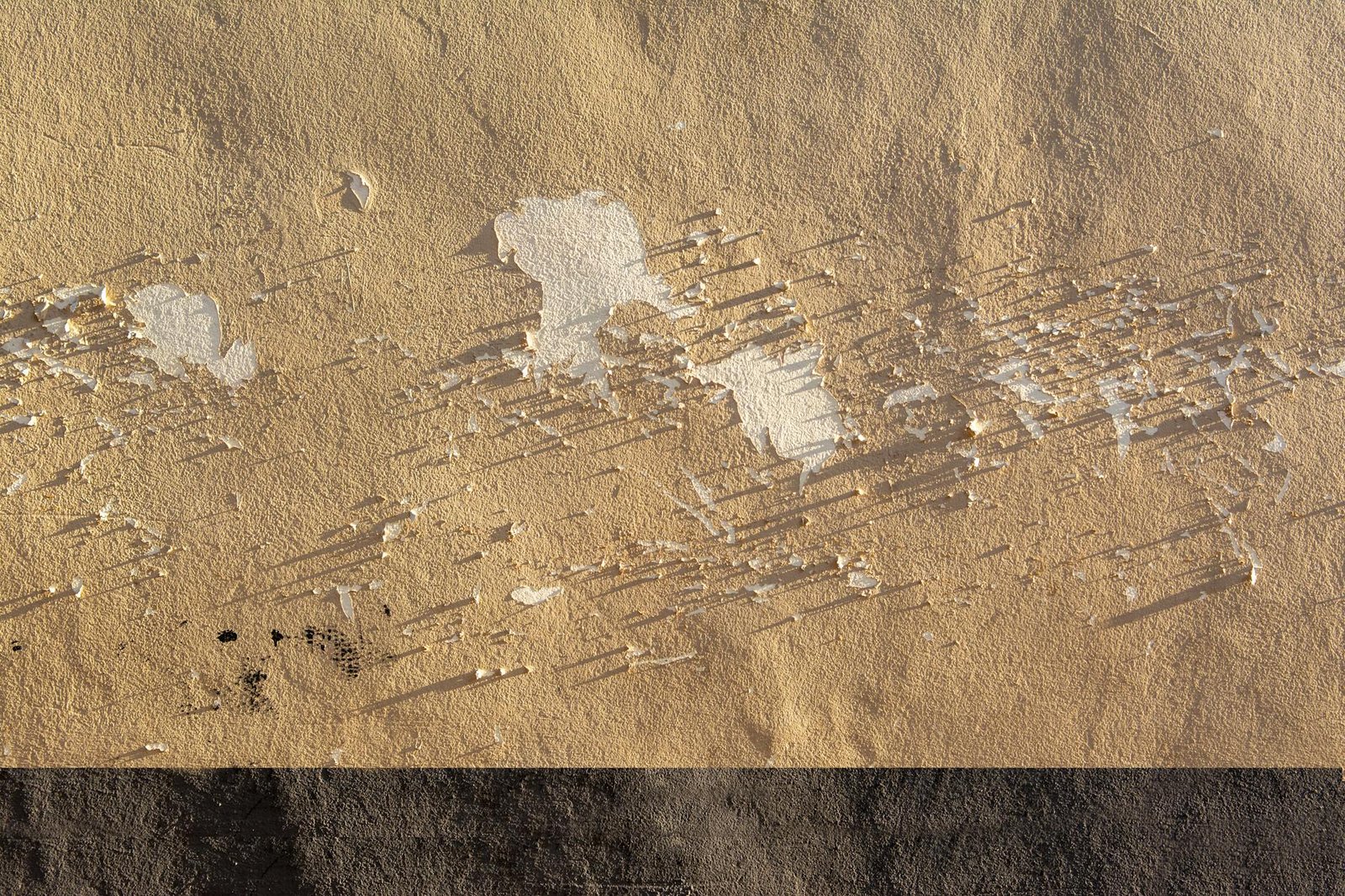 Adrian Wall of DSA Advances Stablecoin Policy Discussion at Blockchain and Fintech Conference at Harvard