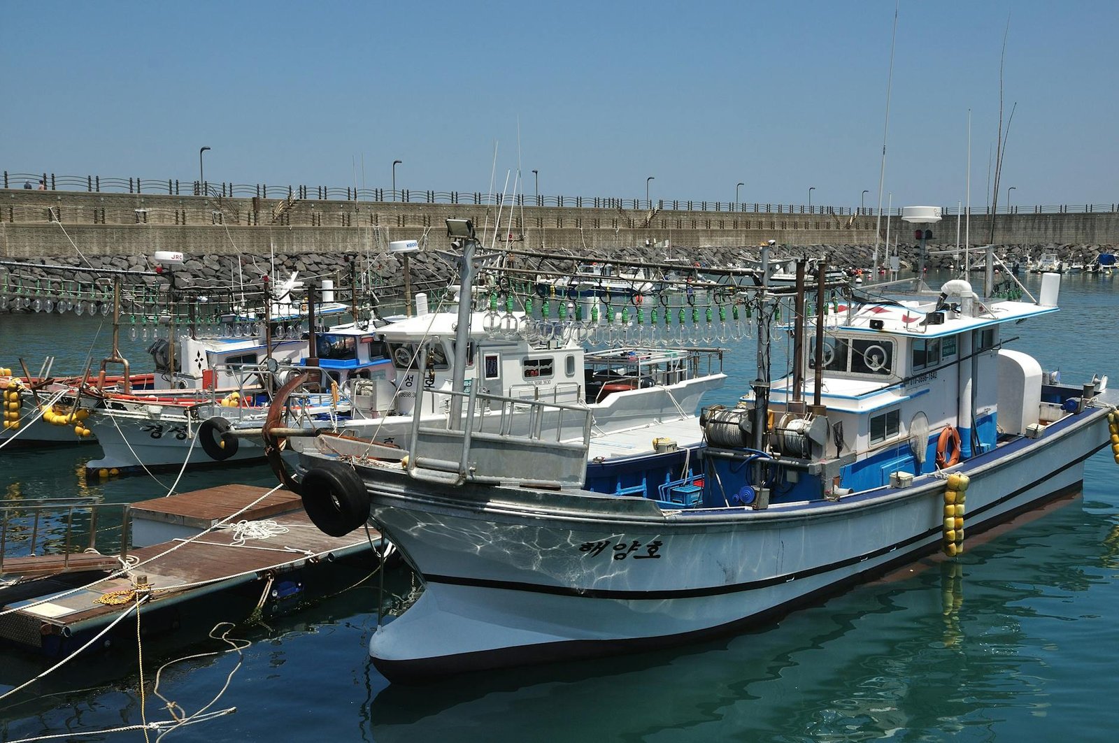 South Korea seeks 20-year sentence for Delio CEO over $169M crypto fraud