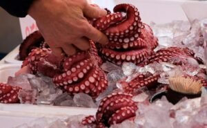 Kraken boss signals IPO still in play despite reports of pause