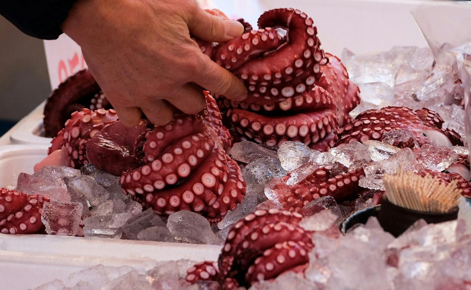 Kraken boss signals IPO still in play despite reports of pause