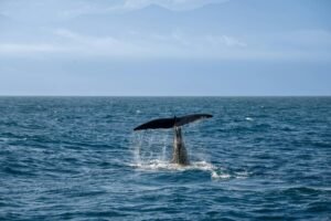 Whales Selling Ethereum? 10-Year Dormant ETH Holder Moves $23M As Tom Lee’s Bitmine Buying Continues