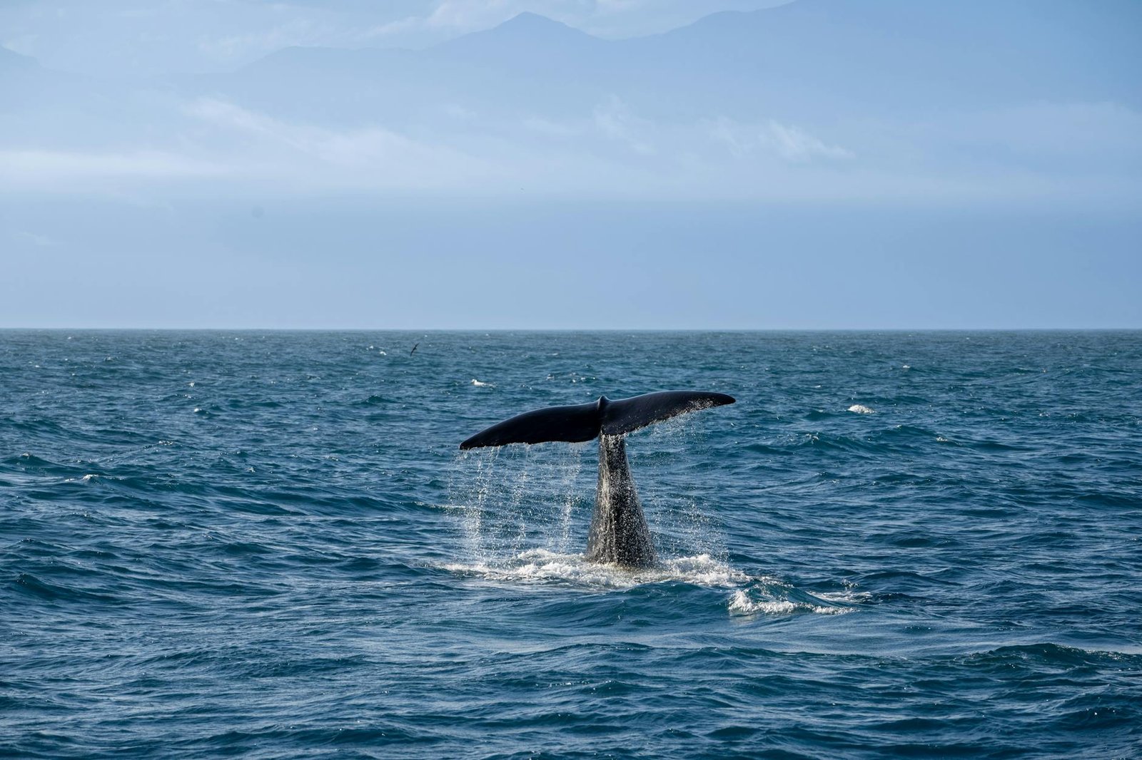 Whales Selling Ethereum? 10-Year Dormant ETH Holder Moves $23M As Tom Lee’s Bitmine Buying Continues