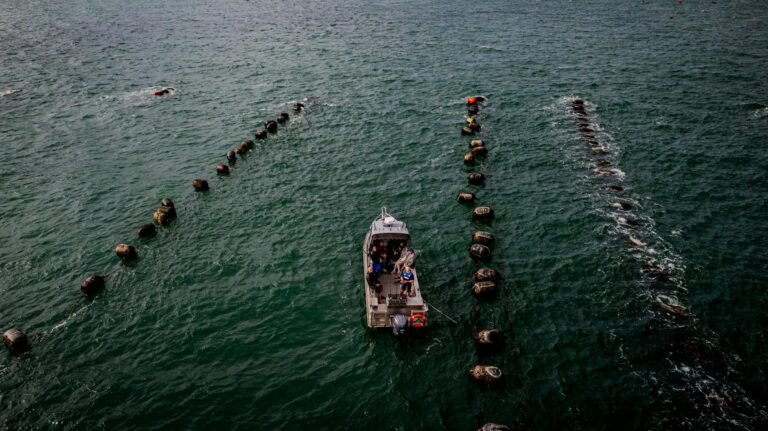 The $292 million Kelp exploit: how it happened, and what it means for DeFi