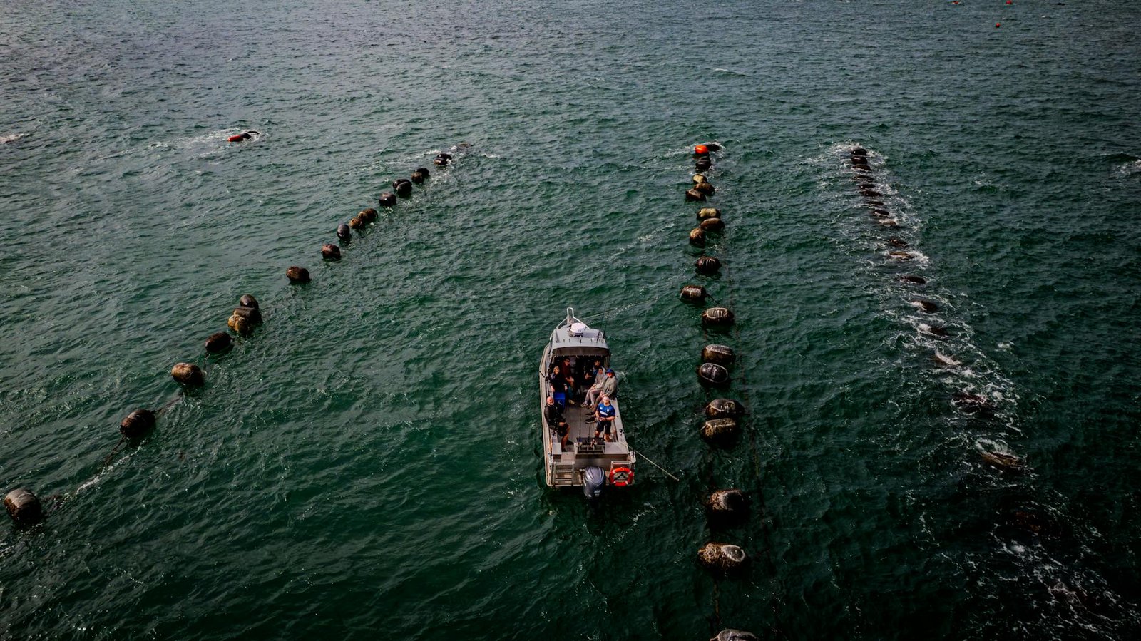 The $292 million Kelp exploit: how it happened, and what it means for DeFi