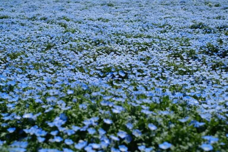 XRP falls to $1.38 after breaking below $1.40 on rising selling pressure