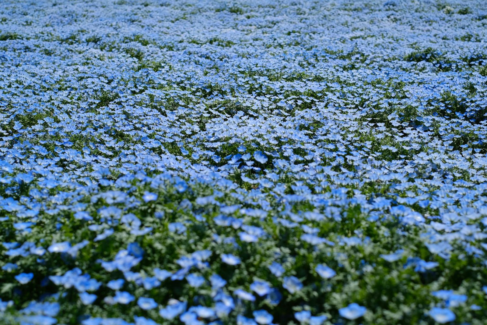 XRP falls to $1.38 after breaking below $1.40 on rising selling pressure